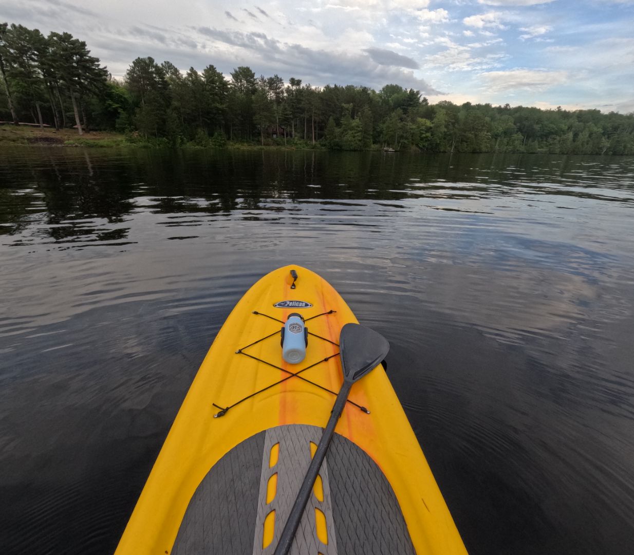 Water bottle holder on a paddle board secured with high-strength 3M VHB tape, floating on a calm lake surrounded by lush green trees.