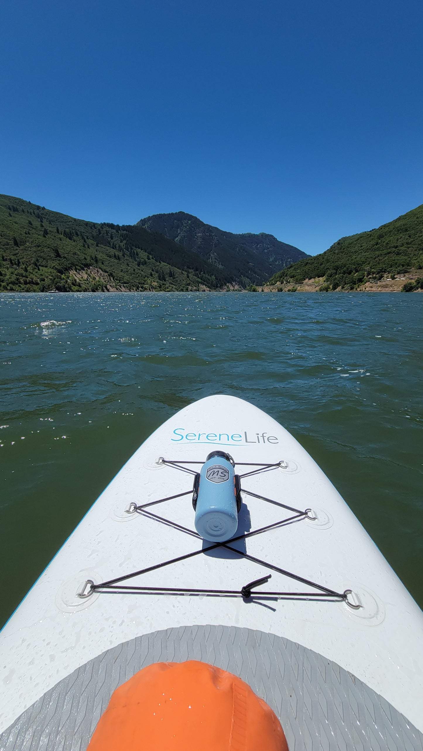FlexClip HD Flat Backed Water Bottle Holder For Paddle Board - *3M DOUBLE SIDED TAPE*